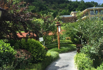 麦积山温泉第 35 张图片