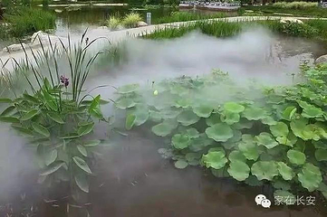 沣东荷苑第 23 张图片