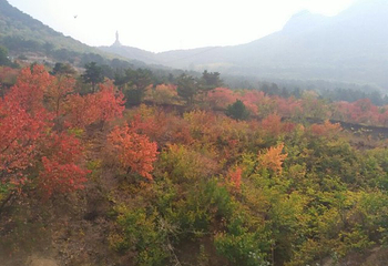 龙凤山公园第 15 张图片