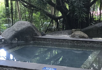 保亭七仙岭南美温泉山庄第 27 张图片