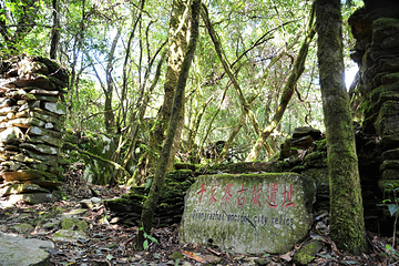 蓬壶百丈岩风景区第 26 张图片