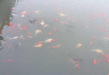 水月禅寺景区第 17 张图片