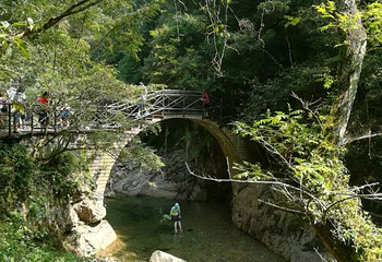 醉山野景区第 94 张图片