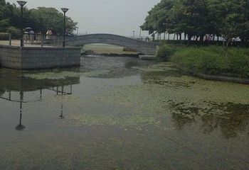 丁蜀太湖绿道骑行第 5 张图片