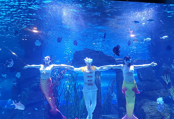 兰州极地海洋世界第 16 张图片