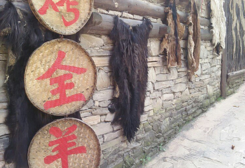 羌人谷第 26 张图片