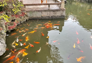 上海大观园第 63 张图片