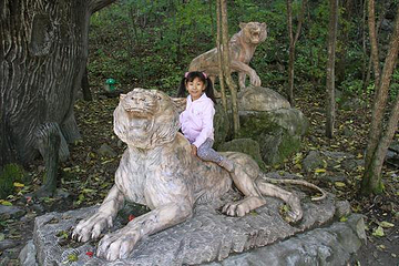 青山沟国家重点风景名胜区-虎塘沟第 11 张图片