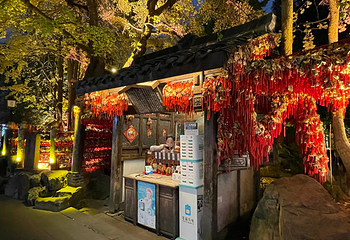 锦里古街第 153 张图片
