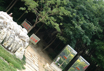 南翠屏公园第 12 张图片
