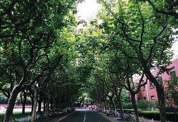 复旦大学(邯郸校区)第 3 张图片