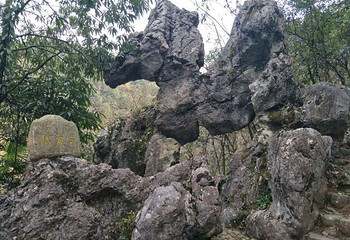 琴溪香谷景区第 45 张图片