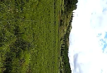 湖南宝山国家矿山公园第 30 张图片