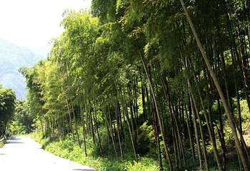 燕东生态观光园第 5 张图片