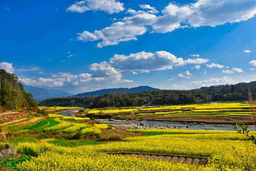 龙川江旅游度假区第 21 张图片
