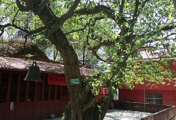 仁寿黑龙滩第 36 张图片