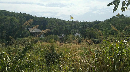 岳母祠第 4 张图片