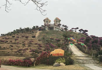 广垦(茂名)国家热带农业公园第 16 张图片