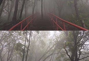 皂幕山旅游风景区第 19 张图片