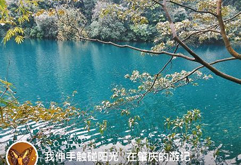 大家元摩天轮第 6 张图片