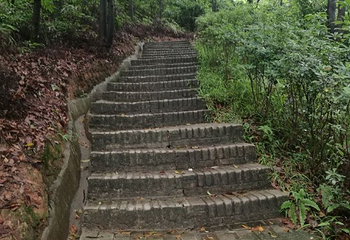 大雁山风景区第 37 张图片