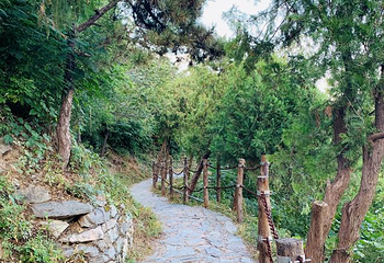 百望山森林公园第 33 张图片
