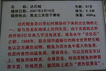 北大荒鱼展馆第 18 张图片