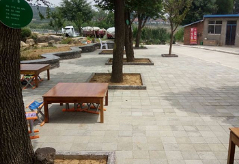 马泉养心谷第 19 张图片