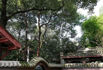 中华蝴蝶生态城第 16 张图片