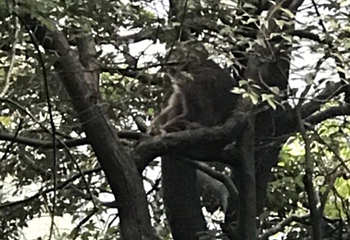赤水丹霞旅游区·佛光岩第 21 张图片