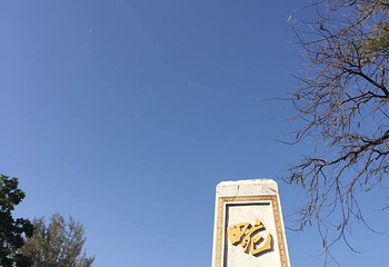 畹町桥第 17 张图片