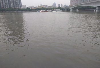 珠江夜游蓝海豚游船第 31 张图片