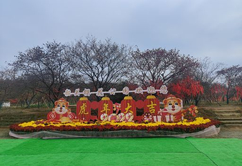 韶关樱花公园第 15 张图片