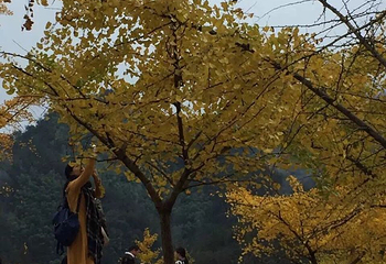 花溪风景区第 23 张图片