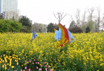 郑州市人民公园第 8 张图片