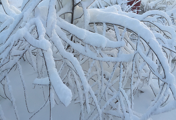 江湾冰雪嘉年华第 8 张图片