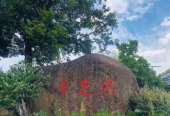 青芝坞第 33 张图片