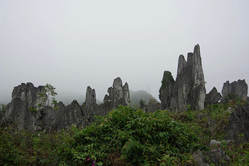 泥凼石林风景区第 6 张图片