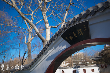天津人民公园第 11 张图片