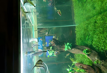 长沙海底世界第 61 张图片