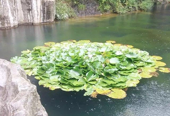 双龙湾景区第 35 张图片