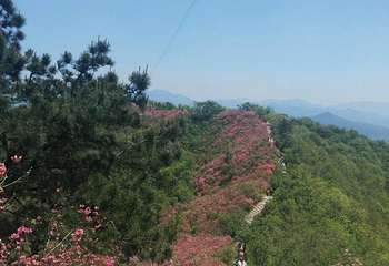 英山县天马寨风景区第 44 张图片