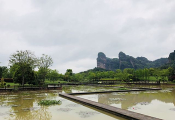 龙虎山花语世界第 31 张图片