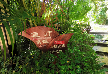 半岭温泉第 43 张图片