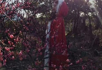 武宁花源谷第 18 张图片