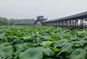 锦溪古镇第 124 张图片