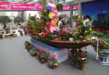 第六届山东花博会第 8 张图片