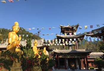 九龙山景区第 46 张图片