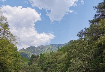 云雾山风景区第 15 张图片