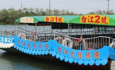 台江公园第 11 张图片
